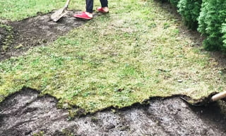 Снятие дерна старого газона в Саратове – от 508 руб. | 2Землекопа-Срт